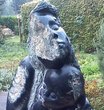 MONNOYE-TERMEER Marianne