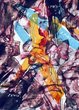 B�RAUD Guy
