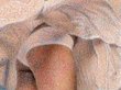 MOENS de HASE Jo�l 
