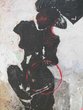 F�RAUD