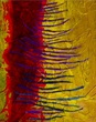 MATTER Alma