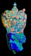 SERERO POP ART